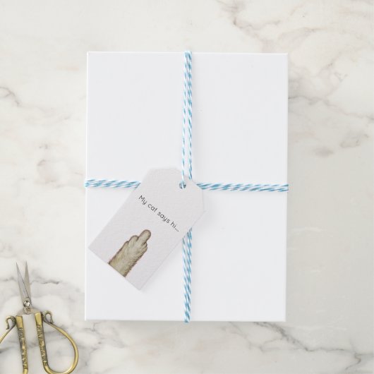 My Cat Says Hi... ギフトタグ (より糸つき)