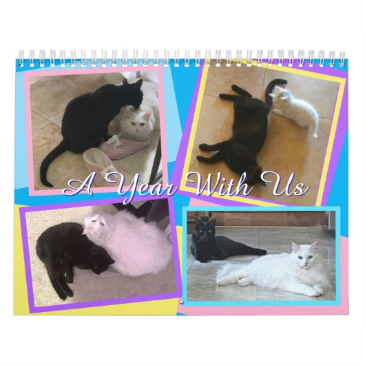 My Cats Calendar カレンダー (カバー)