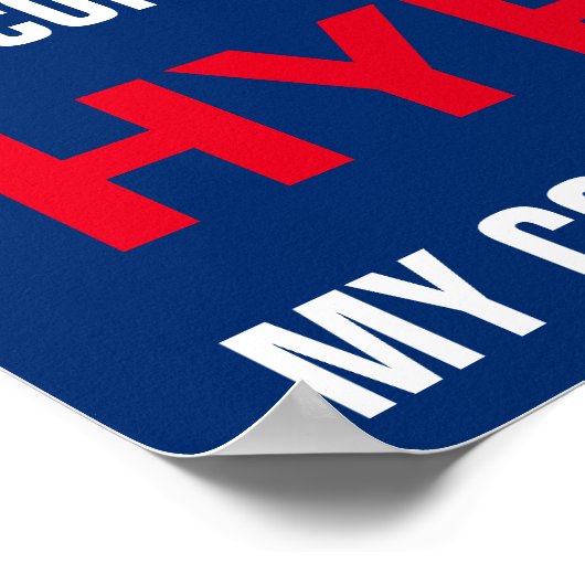 My Congressperson Is Hypocrite Protest Poster ポスター (角)