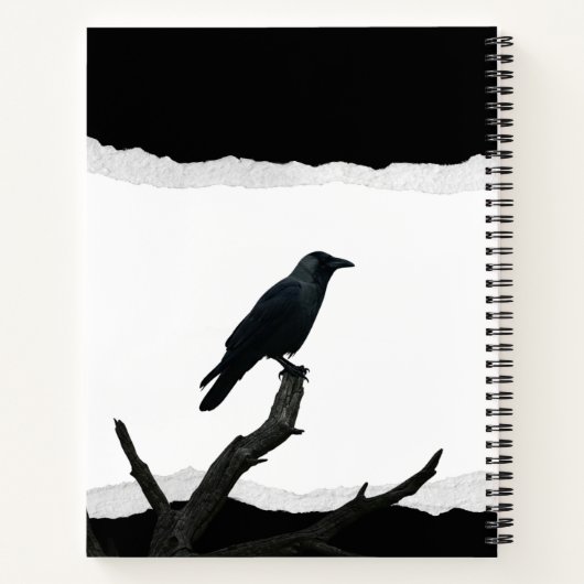 My Diabolical Plans  ノートブック (裏面)