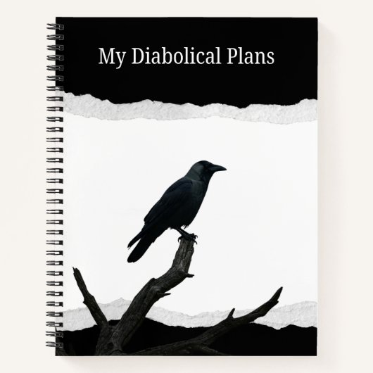 My Diabolical Plans ノートブック (正面)