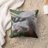 My Dinosaurs  クッション (ブランケット)