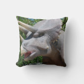 My Dinosaurs  クッション (正面)