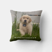 My Dog Photo  クッション (裏面)