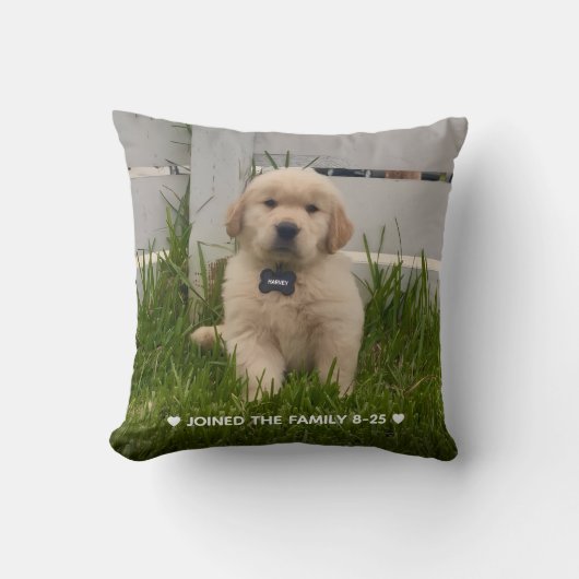 My Dog Photo  クッション (正面)