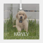 My Dog Photo Christmas ガラスオーナメント (正面)