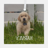 My Dog Photo Christmas ガラスオーナメント (裏面)