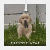 My Dog Photo Christmas ガラスオーナメント (裏面)