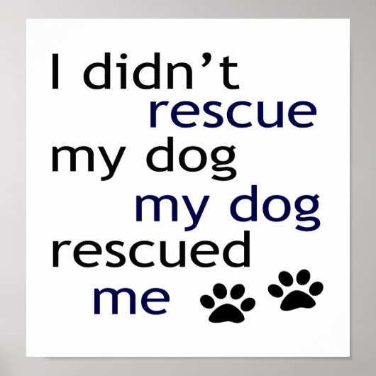 My Dog Rescued Me ポスター (正面)
