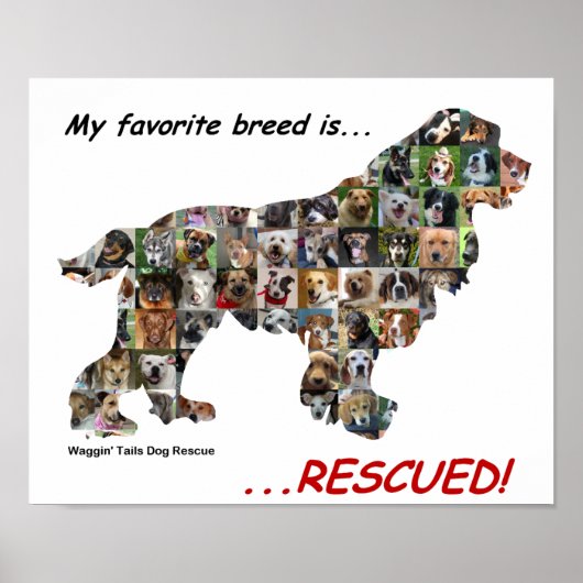 My Favorite Breed is Rescued poster ポスター (正面)