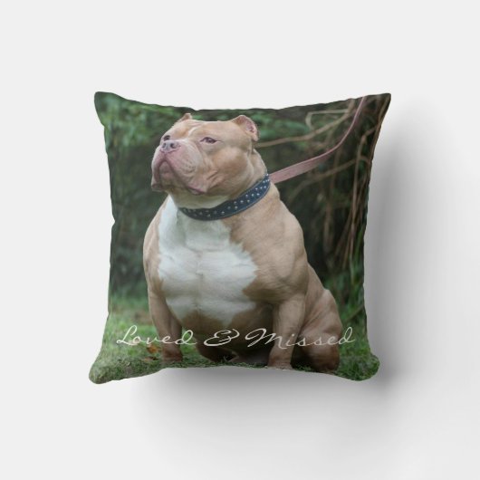 My Hello お気に入りの Pet Memorialあなたの写真 クッション (裏面)