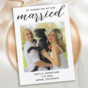 My Humans Are Getting Married - Simple Dog Wedding セーブザデート