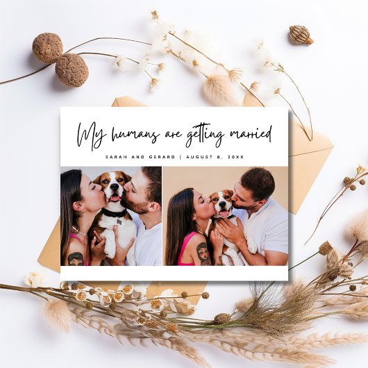 My Humans Dog Photo Wedding Save the Date 案内ポストカード