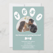 My Humans getting married婚約前写真 案内状 (正面)