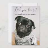 My Humans Getting Married Dog カジュアル Photo 結婚's 招待状 (正面)