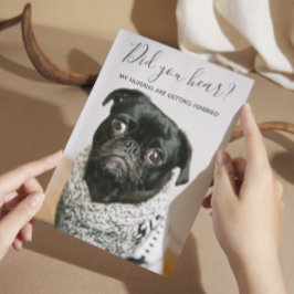 My Humans Getting Married Dog カジュアル Photo 結婚's 招待状