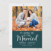 My Humans Getting Married Dog Photo 結婚 Green セーブザデート (正面)