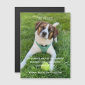 My Human's Getting Married Photo Save the Date (正面/裏面)