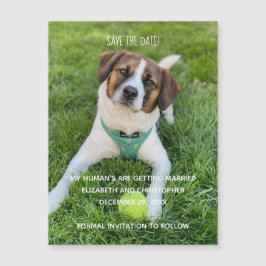 My Human's Getting Married Photo Save the Date