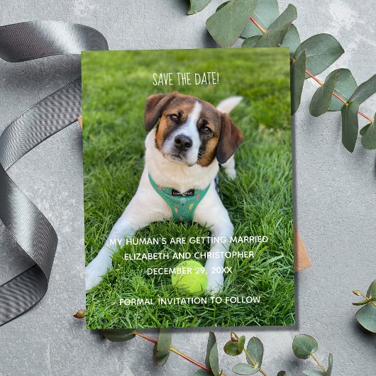 My Human's Getting Married Photo Save the Date マグネット