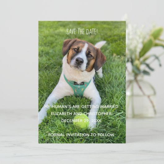 My Human's Getting Married Photo Save the Date 招待状 (スタンド正面)