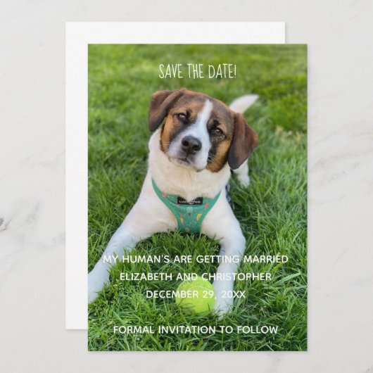 My Human's Getting Married Photo Save the Date 招待状 (正面/裏面)