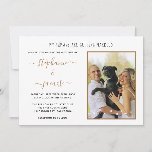 My Humans Getting Marshed Pet 結婚 Photo's 招待状 (正面)