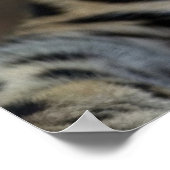 My Last Days on Earth... ポスター (角)