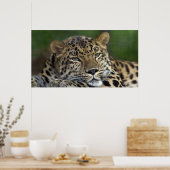 My Last Days on Earth... ポスター (キッチン)