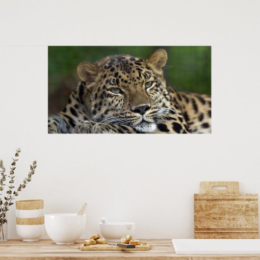 My Last Days on Earth... ポスター (キッチン)