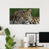 My Last Days on Earth... ポスター (ホームオフィス)