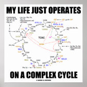 My Life Just Operates On A Complex Cycle (Krebs) ポスター (正面)