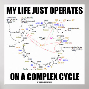 My Life Just Operates On A Complex Cycle (Krebs) ポスター