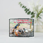 My Little Chicken Coopポストカード ポストカード (スタンド正面)