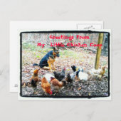 My Little Chicken Coopポストカード ポストカード (正面/裏面)