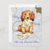 My Longhaired Dachshund Ate my Lesson Plan ポストカード (正面/裏面)