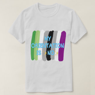 「My Orientation Is No」アロマティックAceプライドシャツ Tシャツ