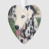 My Pet Friend自分の写真をアップロードカスタム オーナメント (正面)