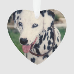 My Pet Friend自分の写真をアップロードカスタム オーナメント