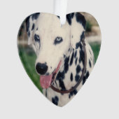 My Pet Friend自分の写真をアップロードカスタム オーナメント (正面)