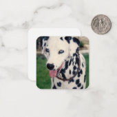 My Pet Friend自分の写真をアップロードカスタム ノートカード (正面/裏面インサイチュ)