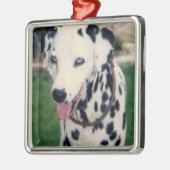 My Pet Friend自分の写真をアップロードカスタム メタルオーナメント (左)