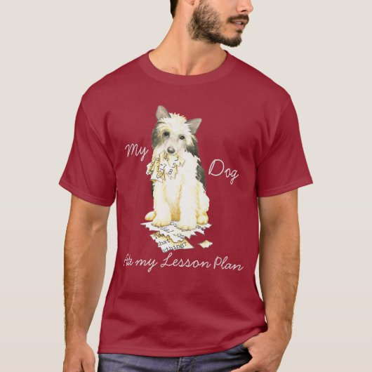 My Powerpuf  My Lesson Plan(マイパワーパフマイレッスンプラン) Tシャツ (正面)