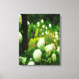 My Rubio Gardenのライムライトアジサイ キャンバスプリント