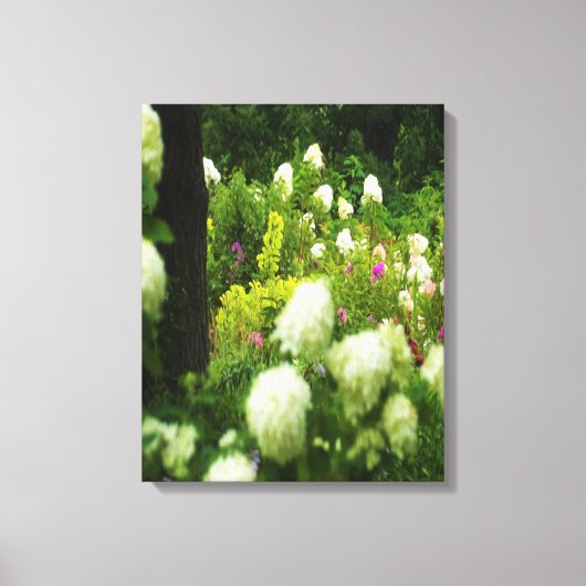 My Rubio Gardenのライムライトアジサイ キャンバスプリント (正面)