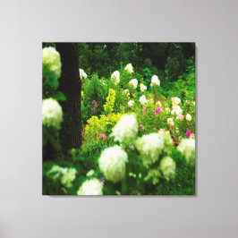 My Rubio Gardenのライムライトアジサイ キャンバスプリント