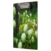 My Rubio Gardenのライムライトアジサイ クリップボード (左)