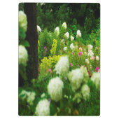 My Rubio Gardenのライムライトアジサイ クリップボード (裏面)