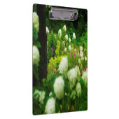 My Rubio Gardenのライムライトアジサイ クリップボード (右)