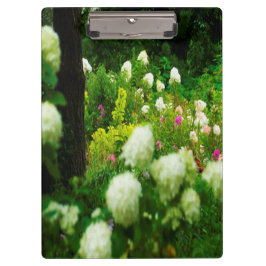 My Rubio Gardenのライムライトアジサイ クリップボード